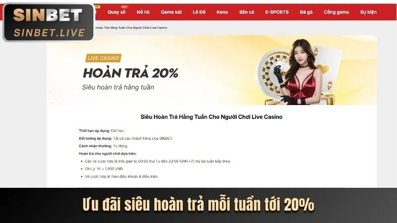 Chương trình VIP Vando88